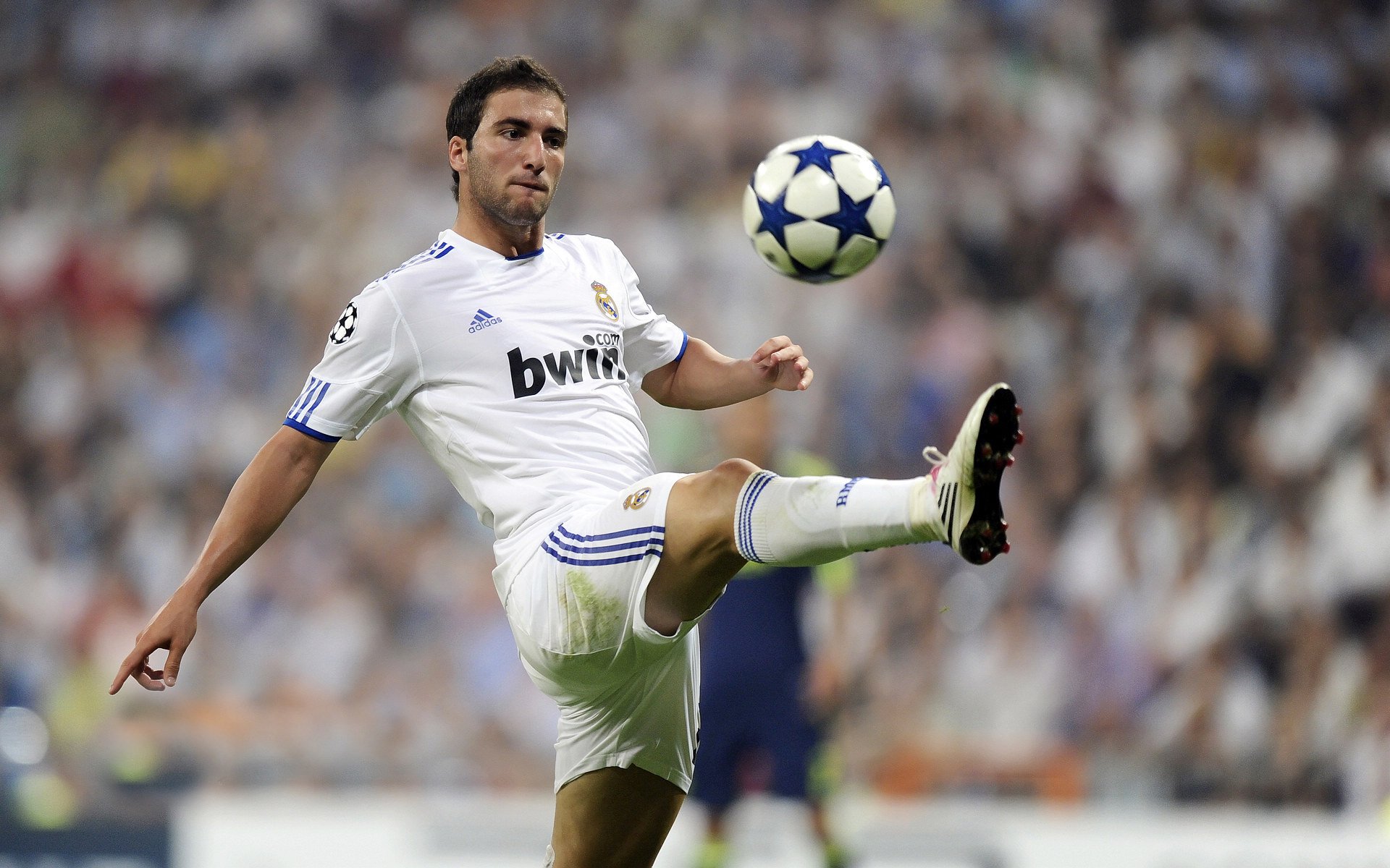 比利时骑手拉里萨·保利斯在2024年巴黎奥运会盛装舞步比赛中以“Luna”马匹获得第七名，展现出色表现。